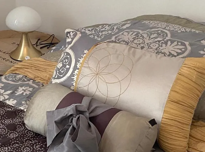 Le Boudoir Du Palais Climatise & Luxueux
